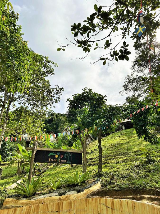 Forest Camp El Nido Kültér fotó